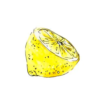 Sketch of half a lemon Stock Illustration