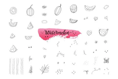 Sketch Hand painted of watermelons elements Stock Illustration