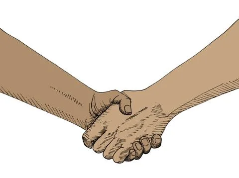 Sketch of handshaking Stock Illustration