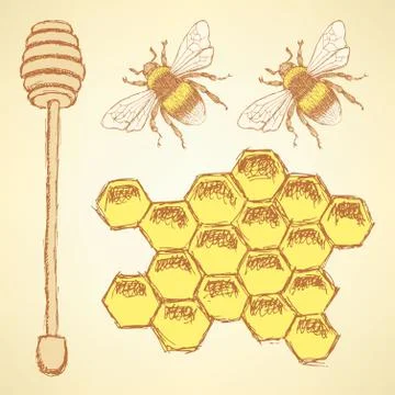 Sketch honey cells, stick and bee in vintage style Stock Illustration