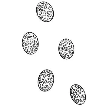 Sketch illustration easter eggs white background Stock Illustration