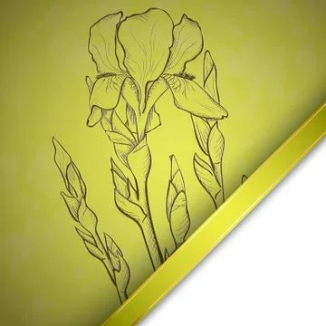 Sketch  iris background Stock Illustration