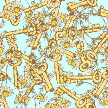 Sketch keys with daisy Stock Illustration