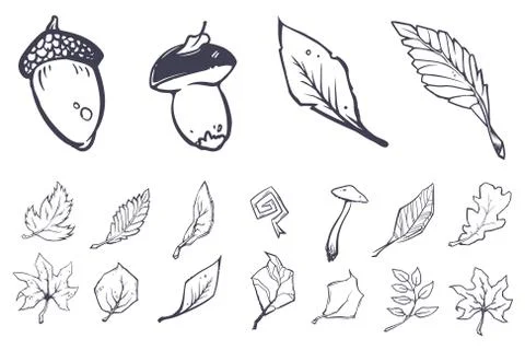 Sketch leaves elements set Stock Illustration