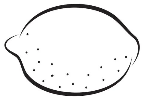 Sketch of lemon Stock Illustration