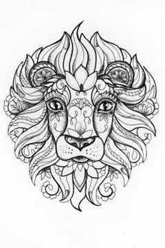 Sketch of a lion with patterns white background. Stock Illustration