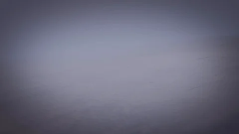 Sketch Logo Reveal Modèle After Effects