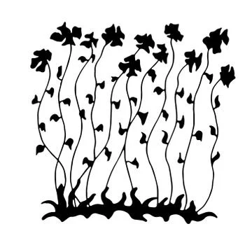 Sketch of long flowers . Stock Illustration
