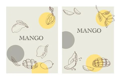 Sketch mango fruit with round shape label for wrapping イラスト素材