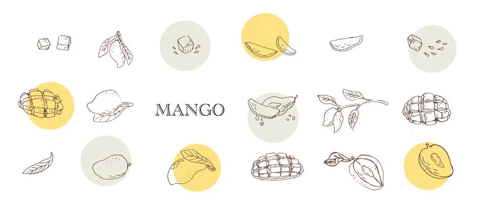 Sketch mango fruit with round shape for wrapping イラスト素材