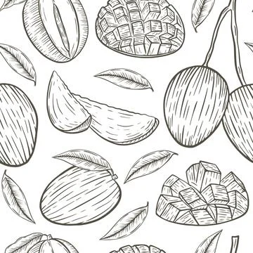Sketch mango seamless pattern vector illustration Stock Illustration