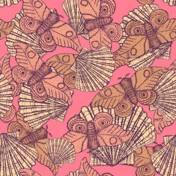 Sketch mothand shell in vintage style Stock Illustration