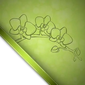 Sketch  orchid background Illustrazione stock