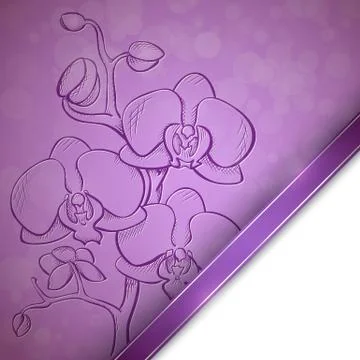 Sketch  orchid background Stock Illustration