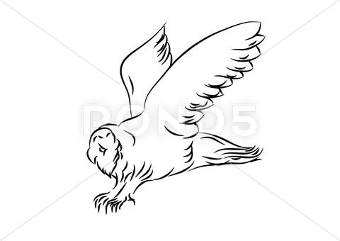 Sketch of an owl Stock Illustration