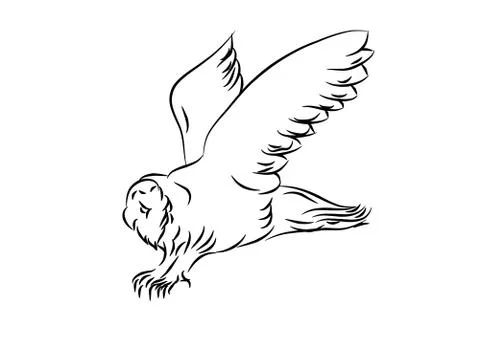 Sketch of an owl Stock Illustration