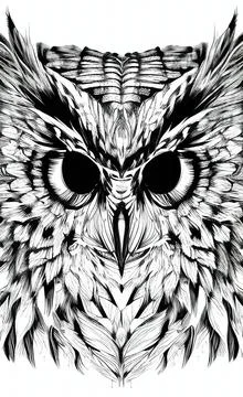 Sketch of an owl Stock Illustration