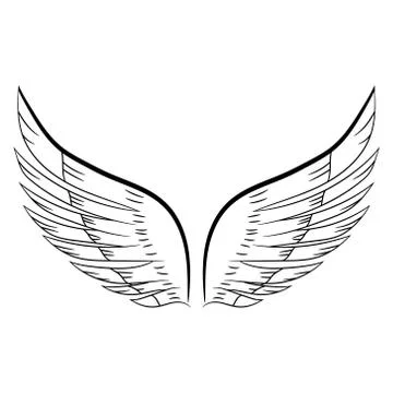 Sketch of a pair of white wings. Vector illustration. Hand drawing Stock Illustration
