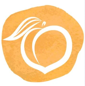 Sketch of peach Illustrazione stock