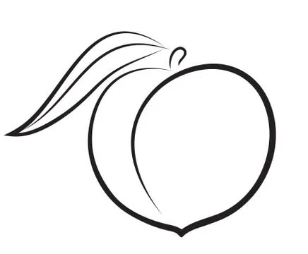 Sketch of peach Stock Illustration