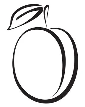 Sketch of plum Stock Illustration