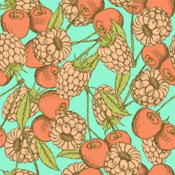 Sketch raspberry and cherry in vintage style Stock Illustration