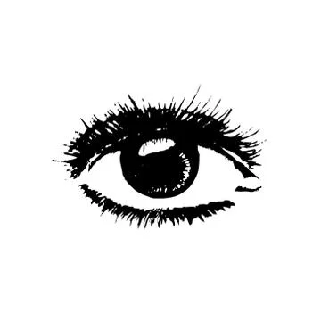 Sketch of a realistic eye. Vector illustration. Drawing by hand. Stock Illustration
