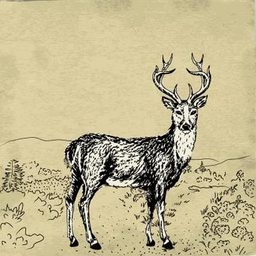 Sketch of reindeer Stock Illustration