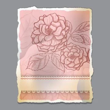 Sketch  rose background Stock Illustration