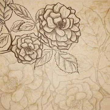Sketch  rose background Stock Illustration
