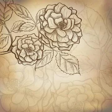 Sketch  rose background Stock Illustration