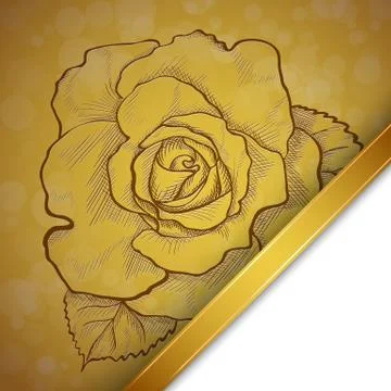 Sketch  rose background Stock Illustration