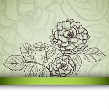 Sketch  rose background Stock Illustration