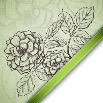 Sketch  rose background Stock Illustration