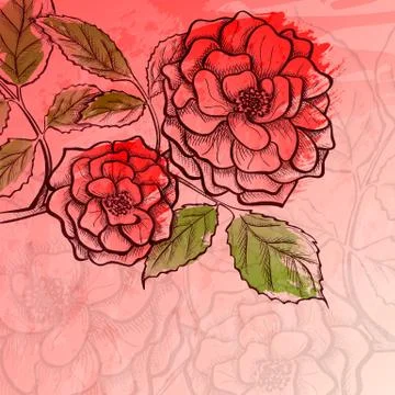 Sketch rose branch Stock Illustration