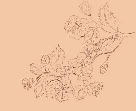 Sketch of Sakura Branch Stock Illustration