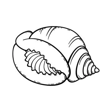 Sketch sea shell-6 Stock Illustration