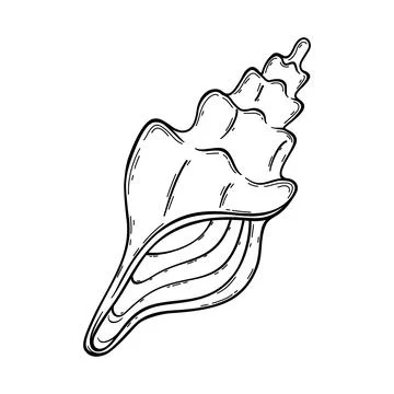 Sketch sea shell Stock Illustration