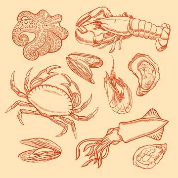 Sketch seafood Stock Illustration