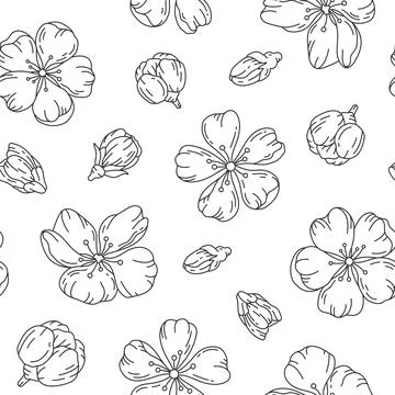 Sketch seamless pattern cherry blossom black line Stock Illustration