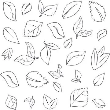 Sketch seamless pattern leaves on a white background Stock Illustration
