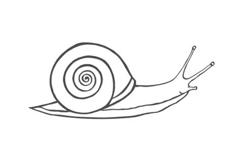 Sketch shell concept 스톡 일러스트