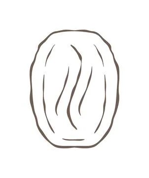 A sketch of a single roasted coffee bean with wavy lines representing its hot Stock Illustration