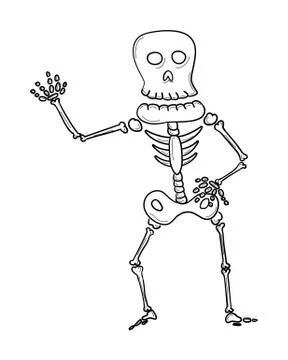 Sketch of the skeleton Stock Illustration