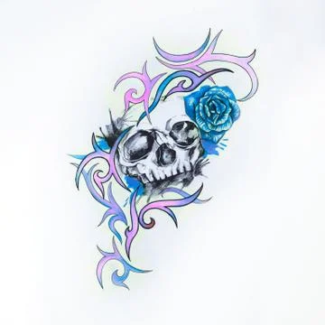 Sketch of a skull in lines on a white background. Stock Illustration