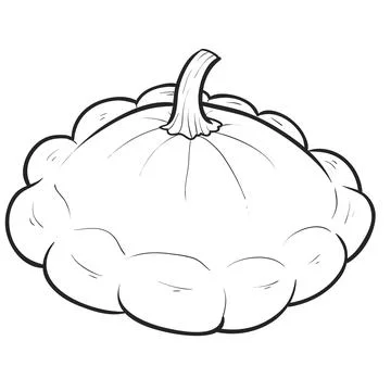 Sketch, squash vegetable, coloring book, isolated object on white background, Stock Illustration