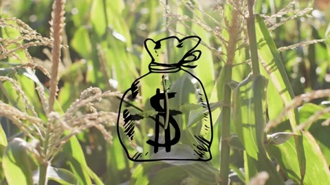 Sketch stroke appearing over central stalk, drawing money-bag morphing into Stock Footage 338356288
