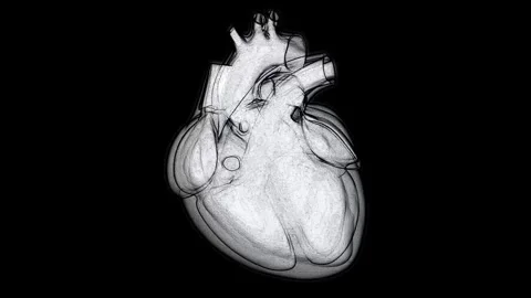 Sketch style human heart beating on black Stock Footage 320927370