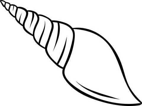 Sketch style seashell in simple black and white line art, doodle illustrati.. Stock Illustration