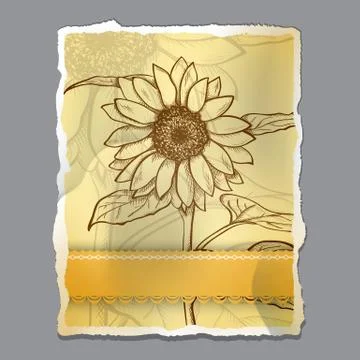 Sketch  sunflower background Stock Illustration